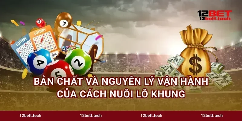Bản chất và nguyên lý vận hành của cách nuôi lô khung