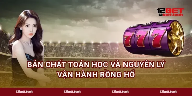 Bản chất toán học và nguyên lý vận hành Rồng Hổ