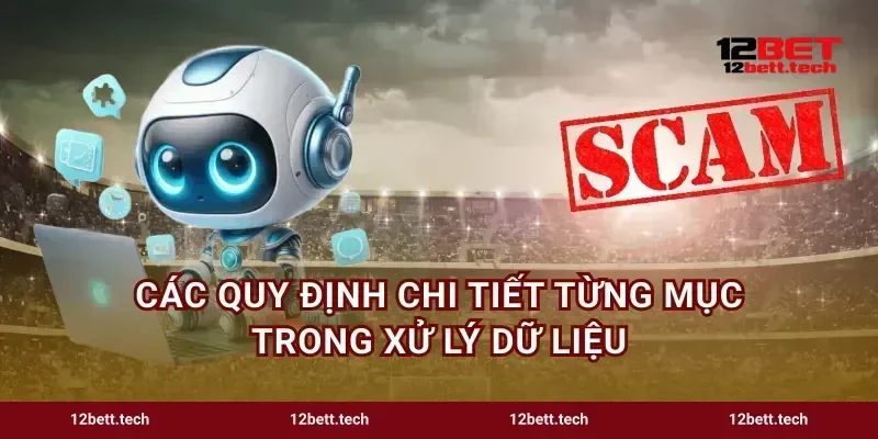 Các quy định chi tiết từng mục trong xử lý dữ liệu