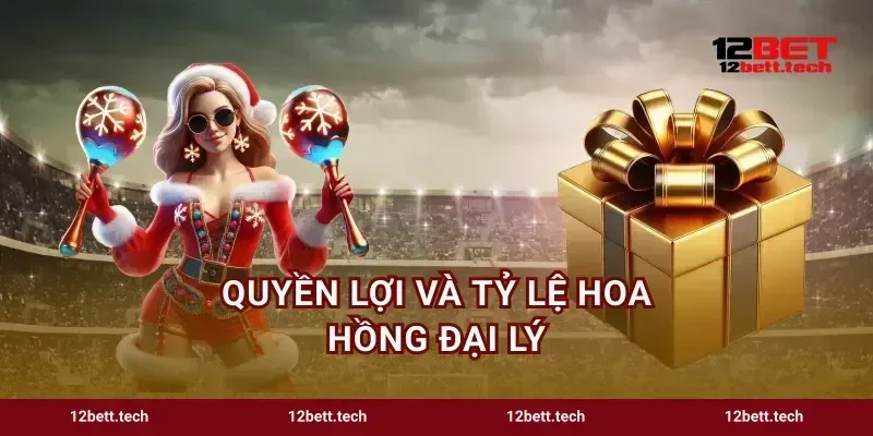Quyền lợi và tỷ lệ hoa hồng đại lý