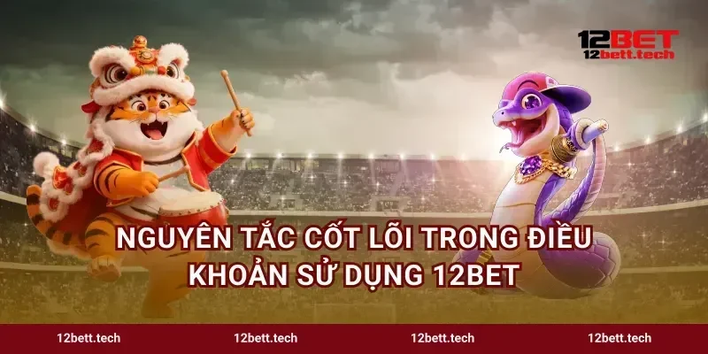 Nguyên tắc cốt lõi trong điều khoản sử dụng 12bet