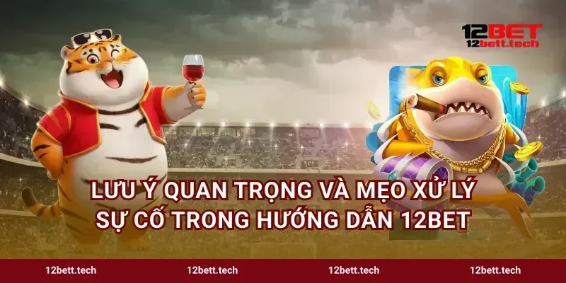Lưu ý quan trọng và mẹo xử lý sự cố trong hướng dẫn 12bet