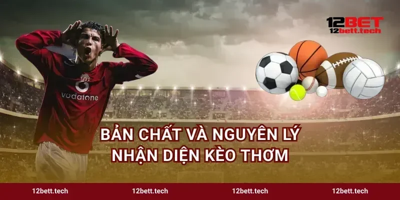 Bản chất và nguyên lý nhận diện kèo thơm