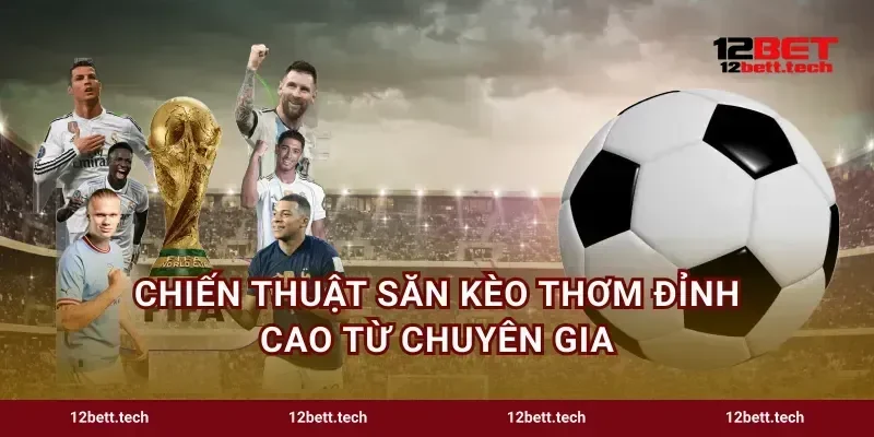 Chiến thuật săn kèo thơm đỉnh cao từ chuyên gia