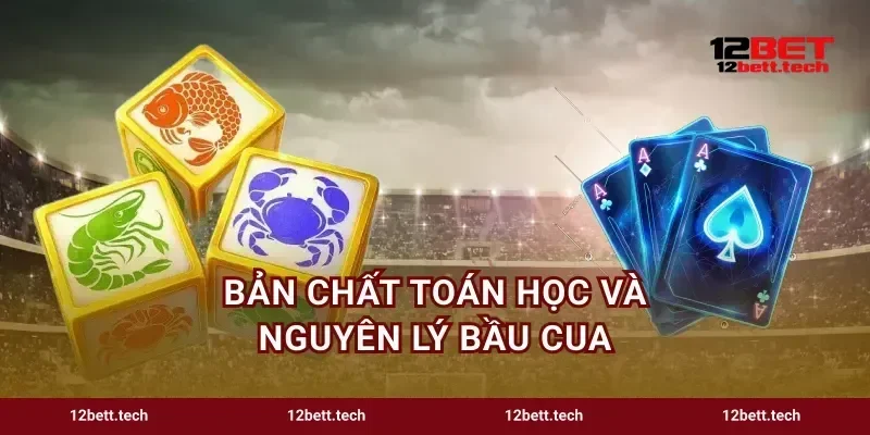 Bản chất toán học và nguyên lý bầu cua