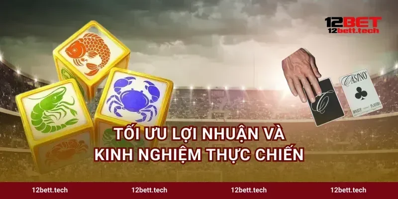 Tối ưu lợi nhuận và kinh nghiệm thực chiến