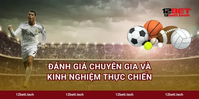 Đánh giá chuyên gia và kinh nghiệm thực chiến