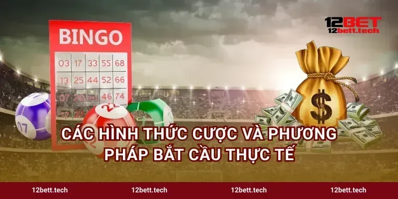 Các hình thức cược và phương pháp bắt cầu thực tế